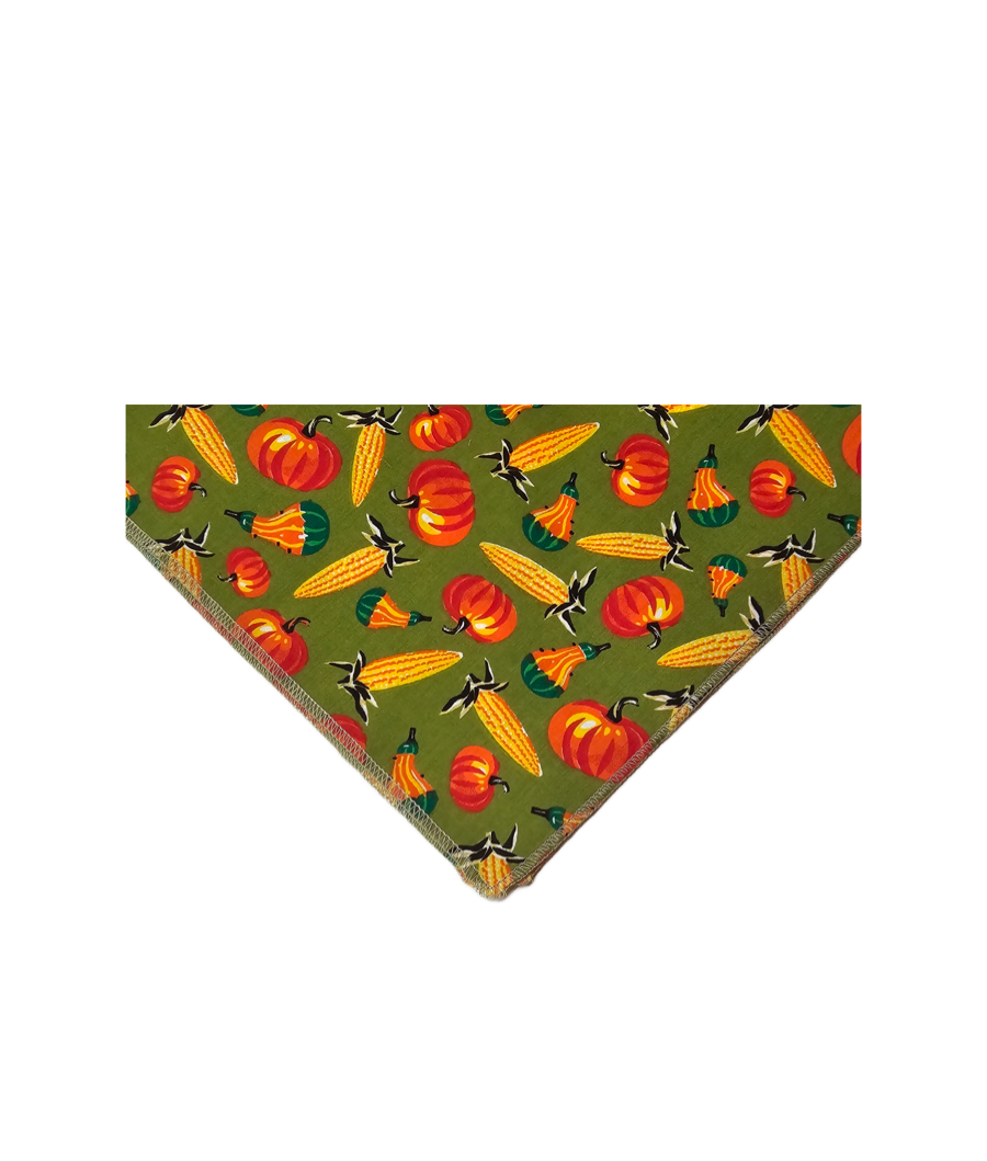 SQ3221 Thanksgiving Square Bandana