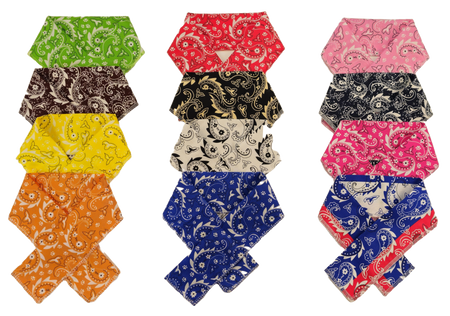 PKSCRF2 12 Assorted Paisley Scarf 