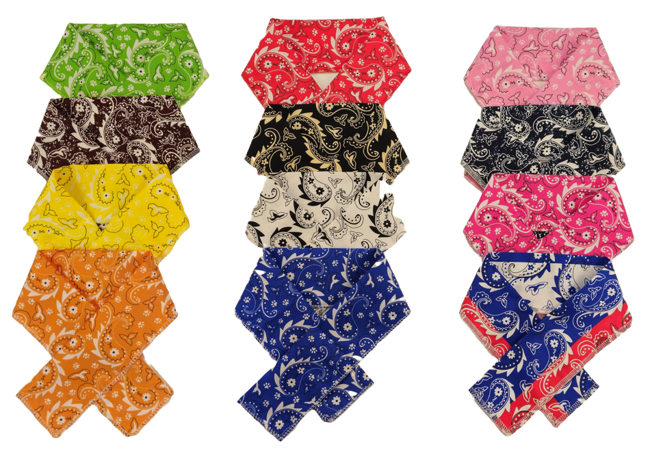 PKSCRF2 12 Assorted Paisley Scarf 