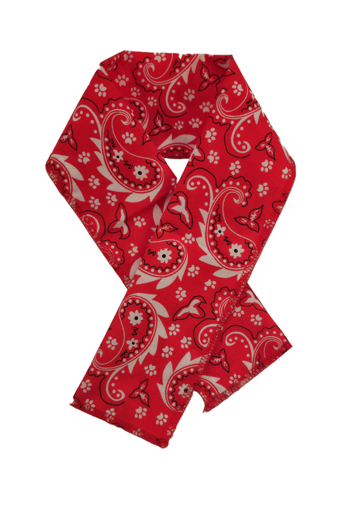 PKSCRF2 12 Assorted Paisley Scarf 