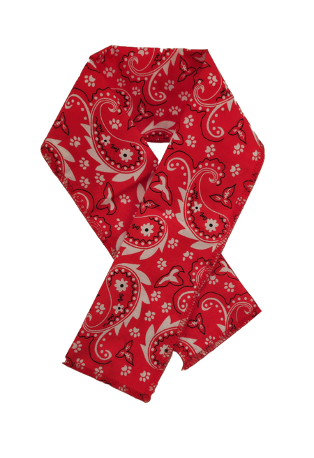 PKSCRF2 12 Assorted Paisley Scarf 