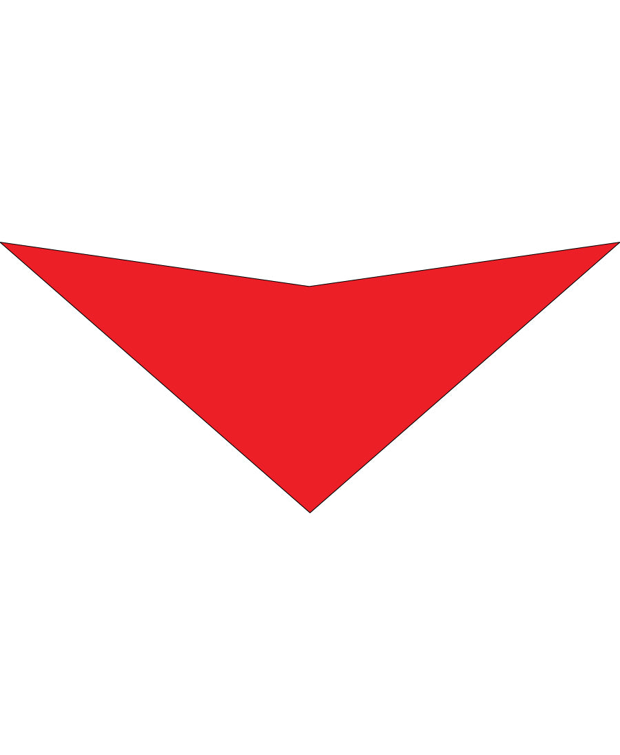 S3100 Red Bandana