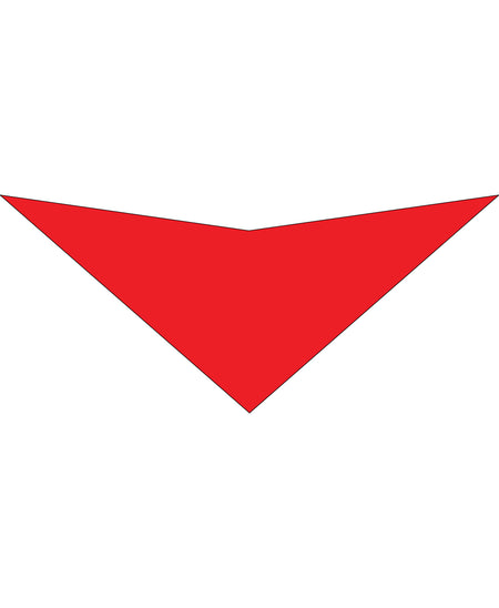 S3100 Red Bandana