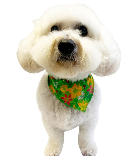 S3102 Summer Flowers Bandana