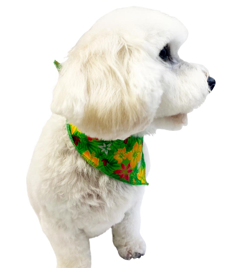 S3102 Summer Flowers Bandana