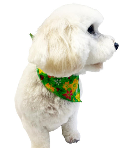 S3102 Summer Flowers Bandana