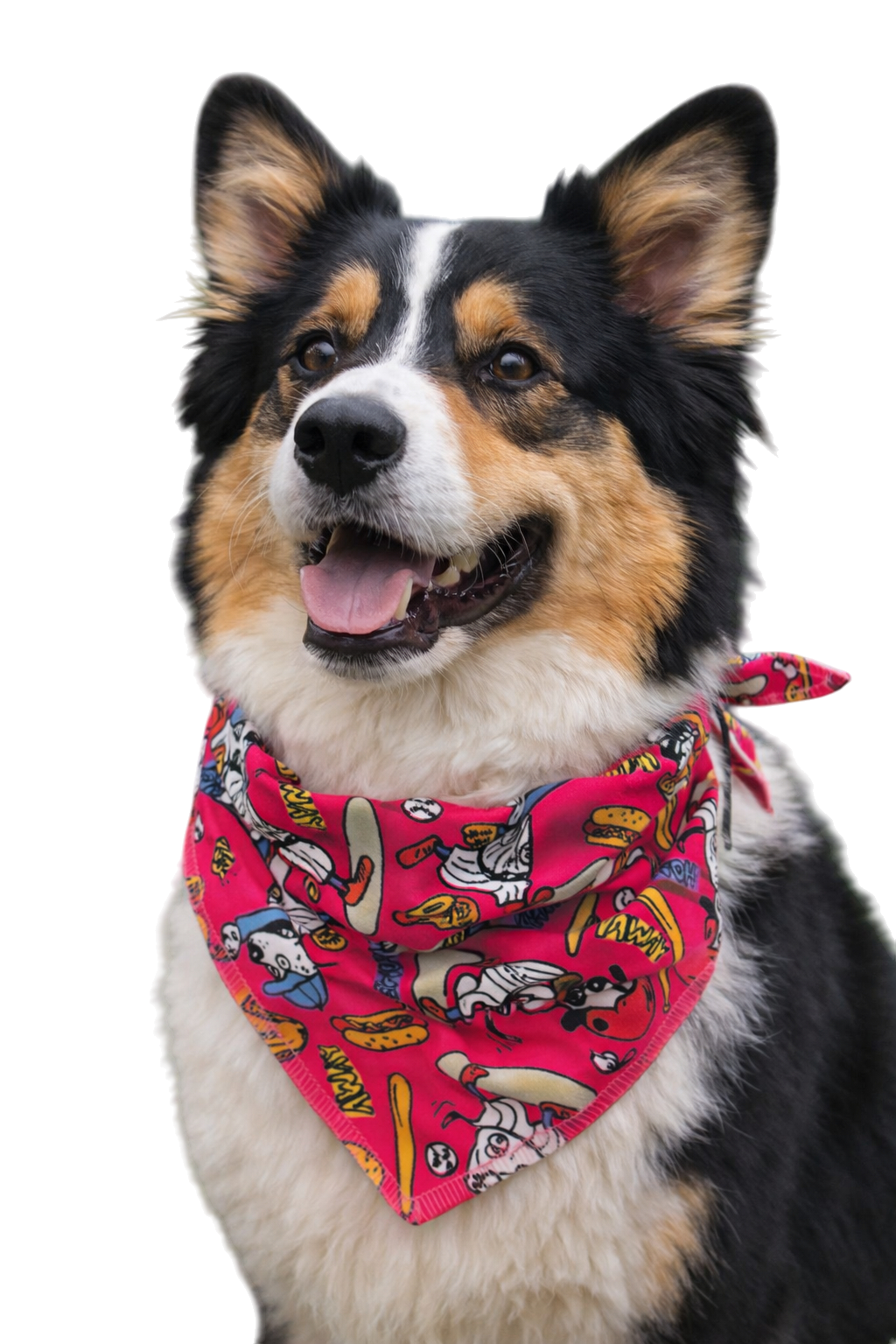 S3011 Doggie Bandana Pink