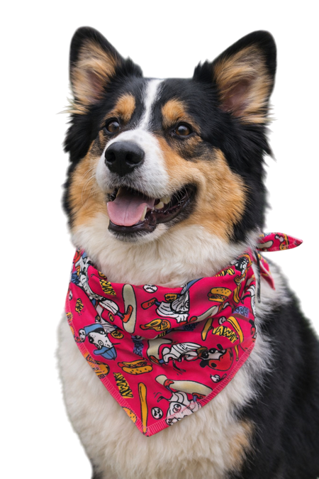 S3011 Doggie Bandana Pink