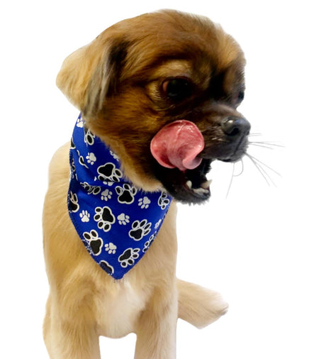 S3117 Paws N Bones Bandana