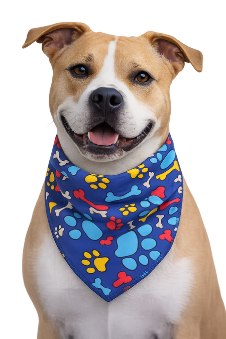 S3118 Paws & Bones Blue