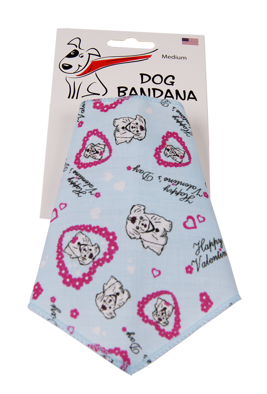 S3120 Valentine's Day Doggie Bandana, Blue