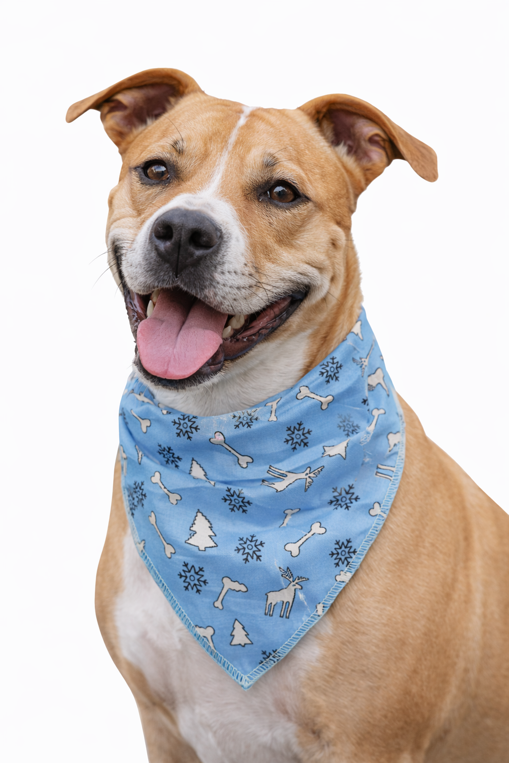 S3133 Christmas Bandana Blue