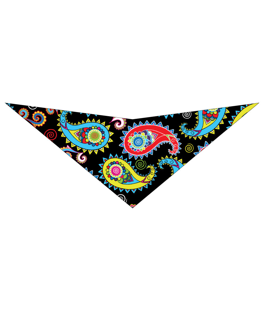 S3135 Paisley Bandana