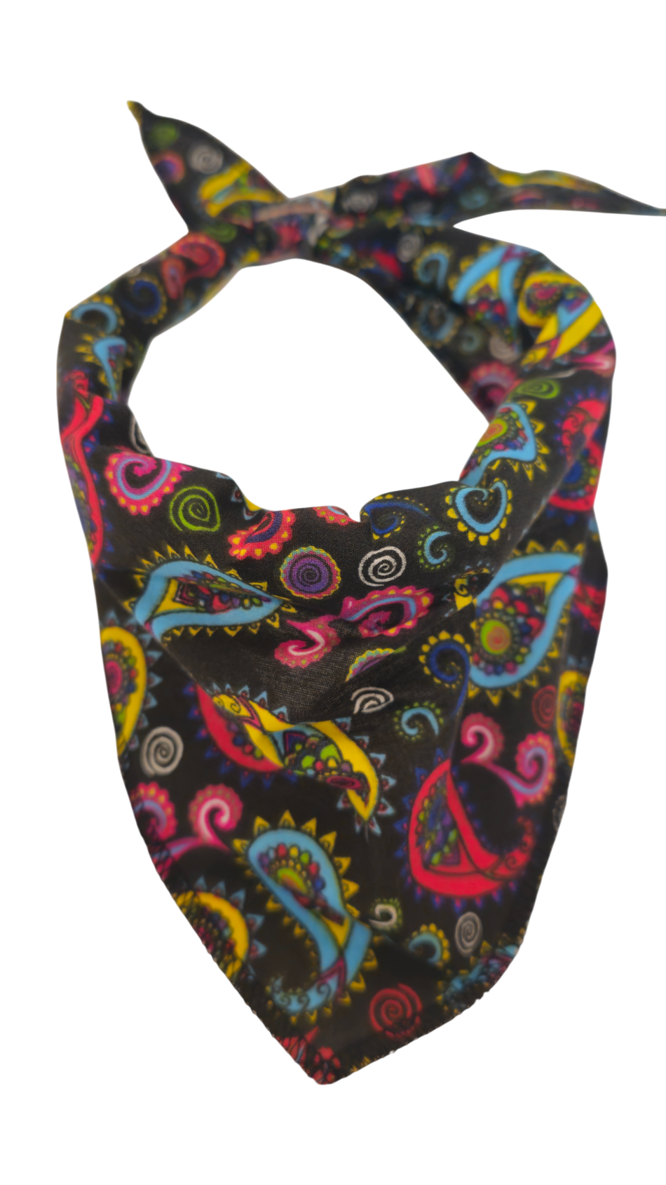 S3135 Paisley Bandana