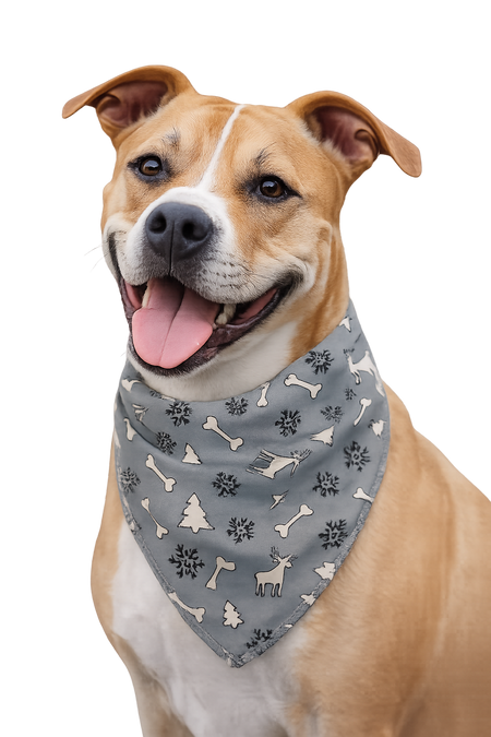 S3138 Holiday Bandana Grey
