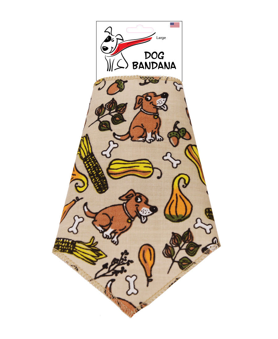 SA3138 Happy Harvest Squash Doggie Bandana, Brown