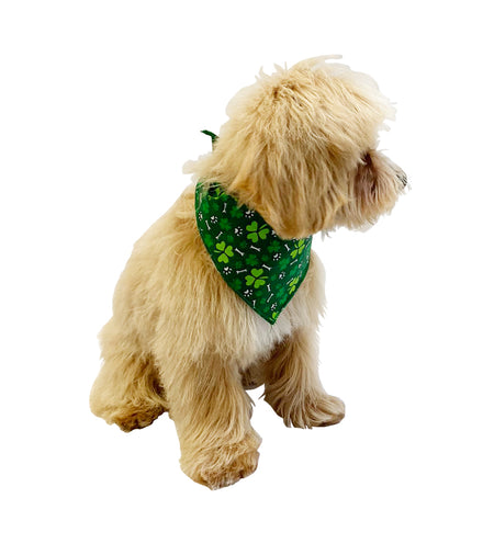 S3143 Shamrocks & Pawprints Bandana, Green