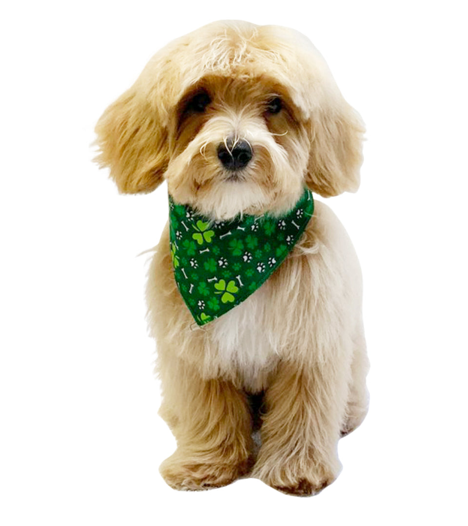 S3143 Shamrocks & Pawprints Bandana, Green