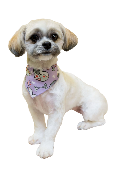 SA3145 Love Hearts & Pawprints Bandana, Purple