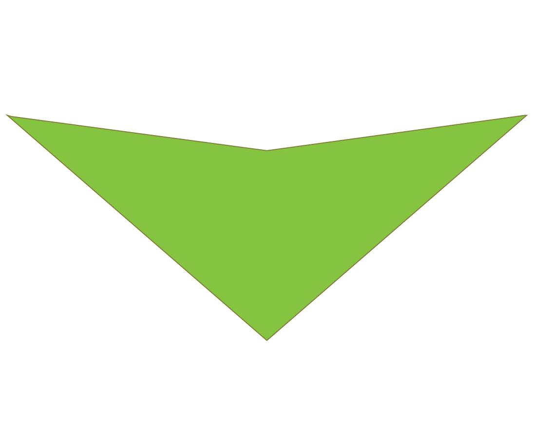 S3146 Lime Green Bandana