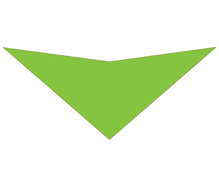 S3146 Lime Green Bandana