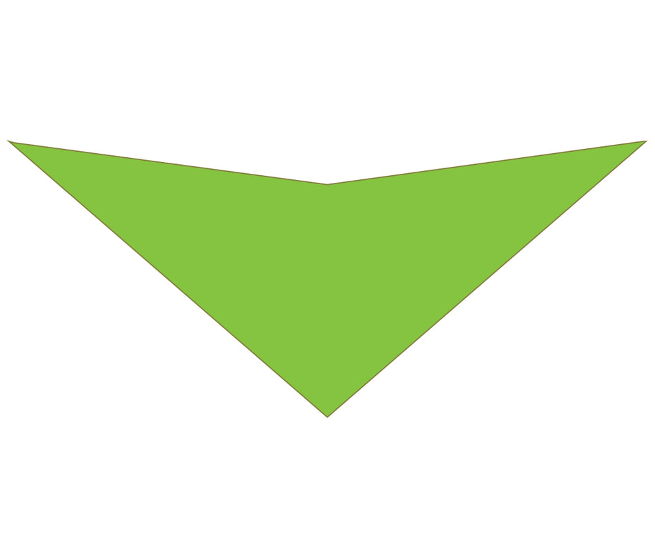 S3146 Lime Green Bandana