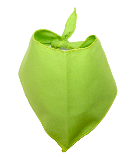 S3146 Lime Green Bandana