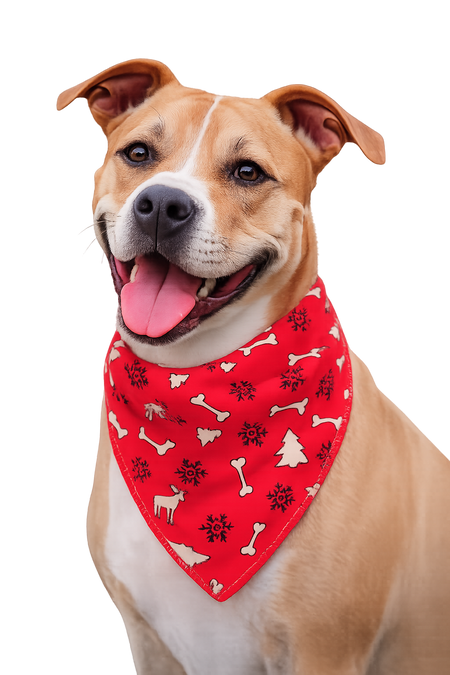 PKS6 60 Assorted CHRISTMAS WINTER Tieback Dog Grooming Bandanas / Groomers Bulk Package