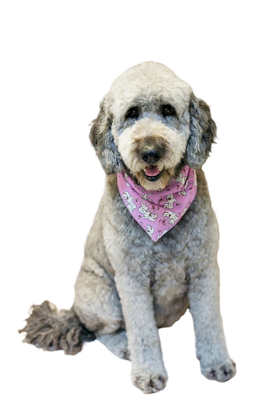 S3163 Pretty White Doggie Bandana, Purple
