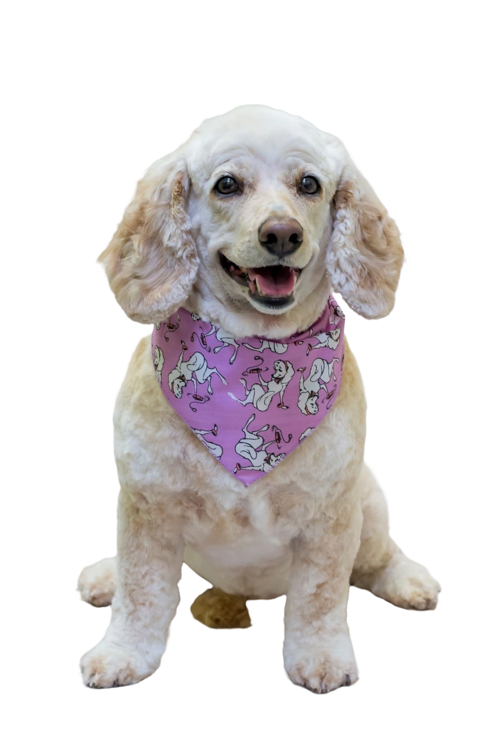 S3163 Pretty White Doggie Bandana, Purple