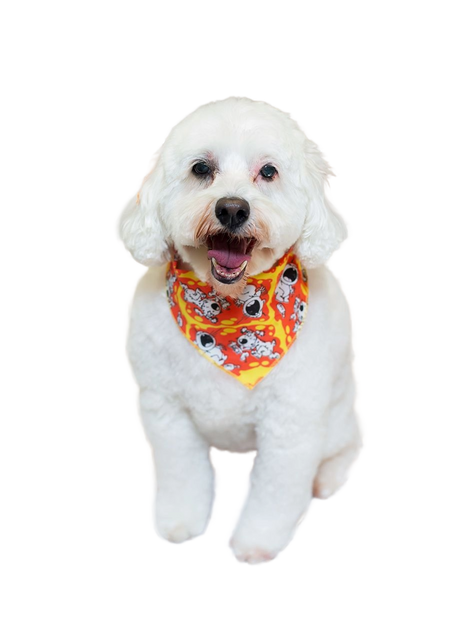 S3166 Funny Doggie Meets Baby Bandana, Red