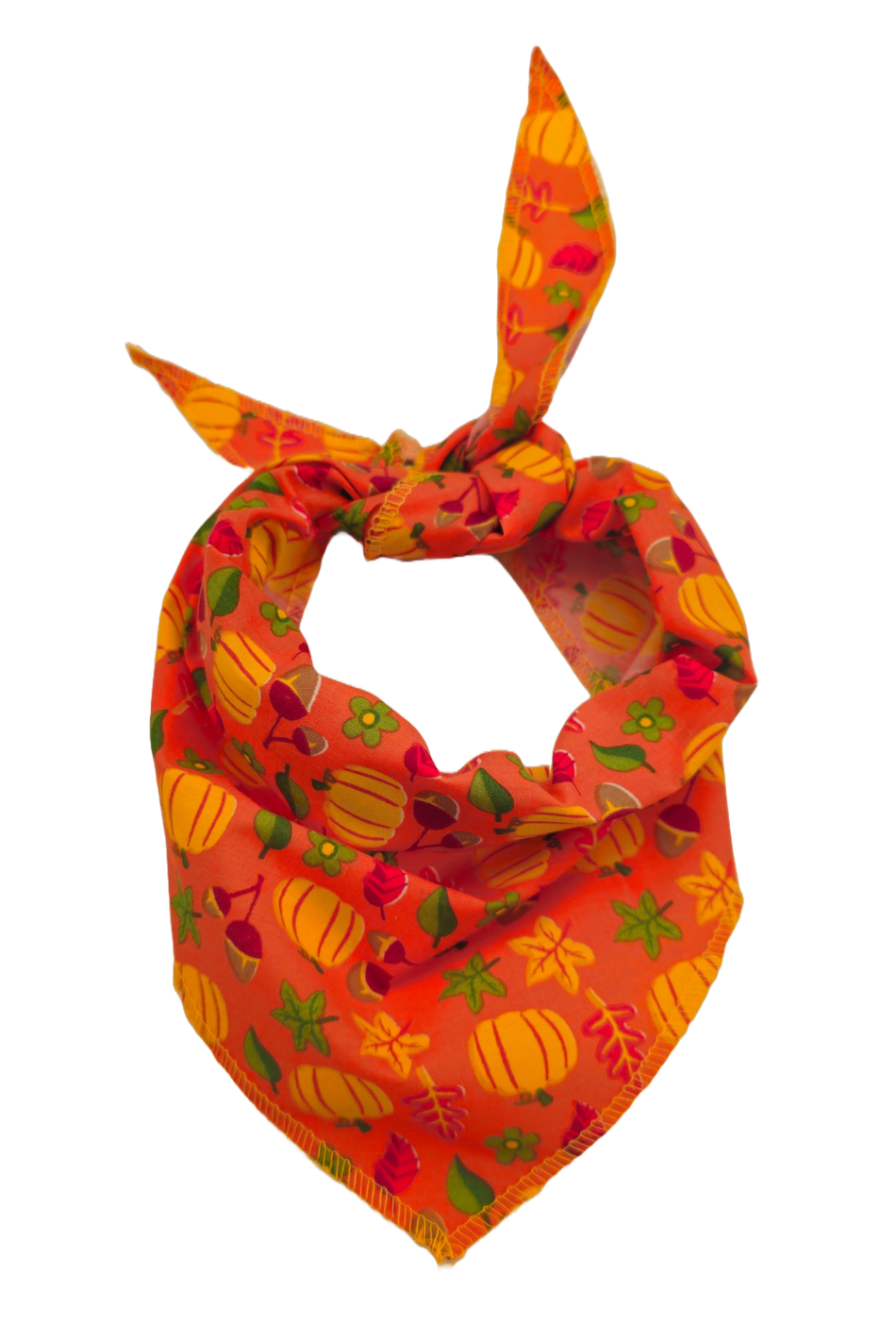 S3171 Fall & Thanksgiving Bandana