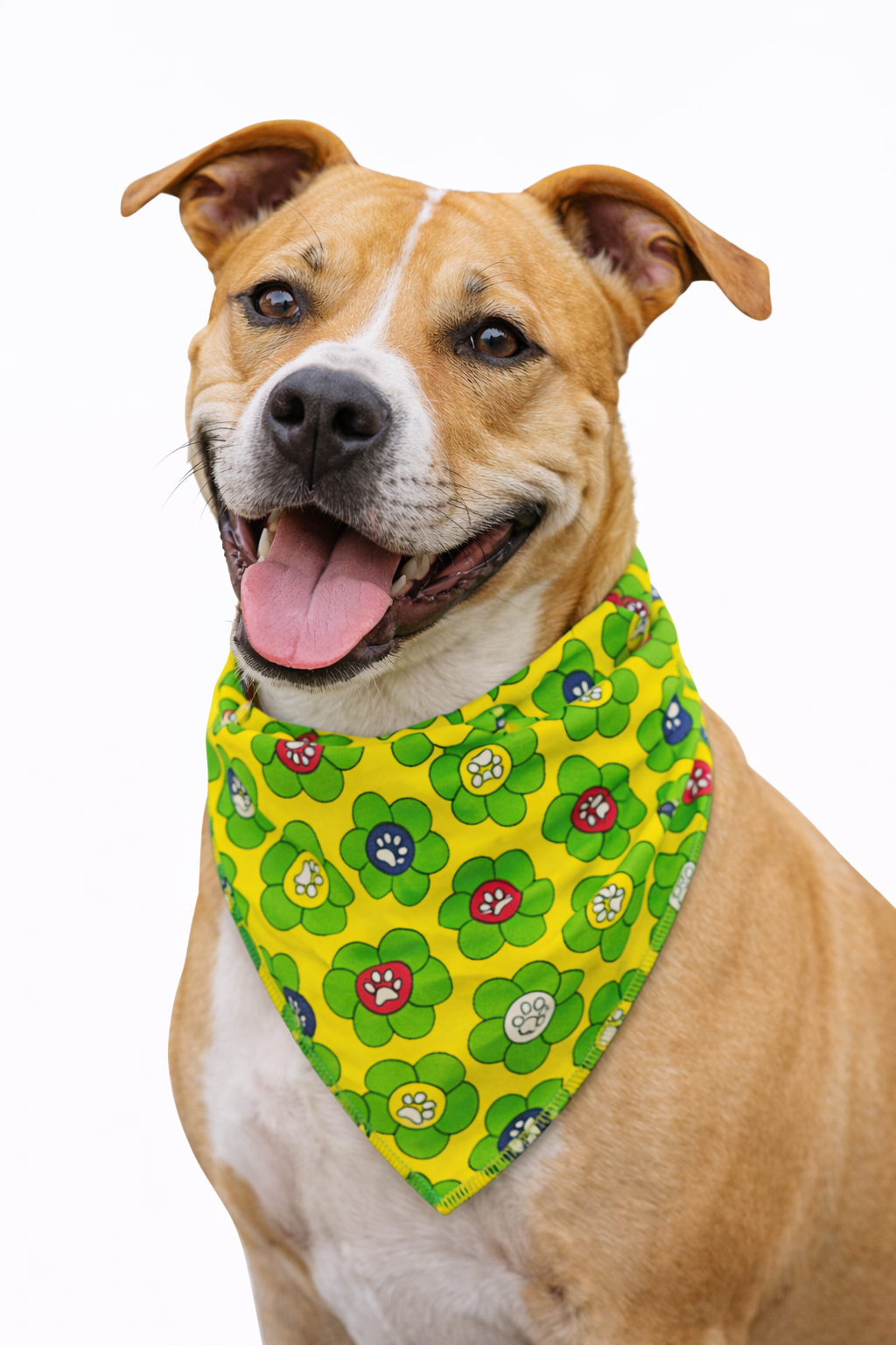 S3177 Flowers Paws Bandana Yellow