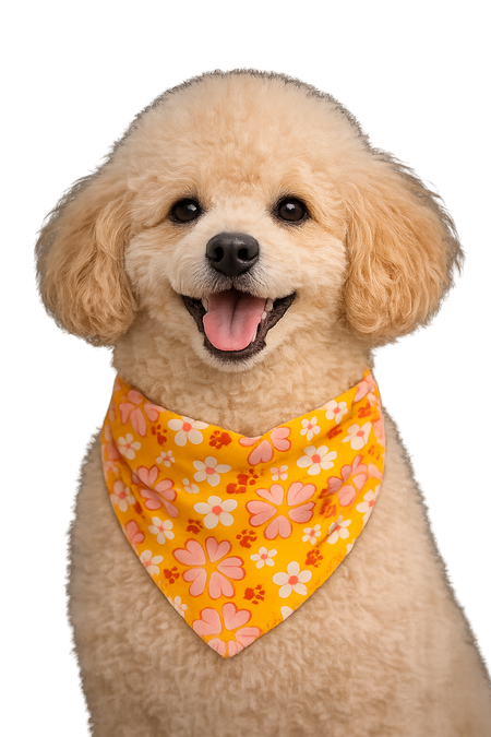 S3178 Flowers Bandana