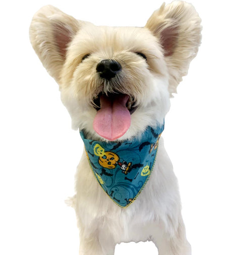 PKS12 60 Assorted HALLOWEEN Tieback Dog Grooming Bandanas / Groomers Bulk Package