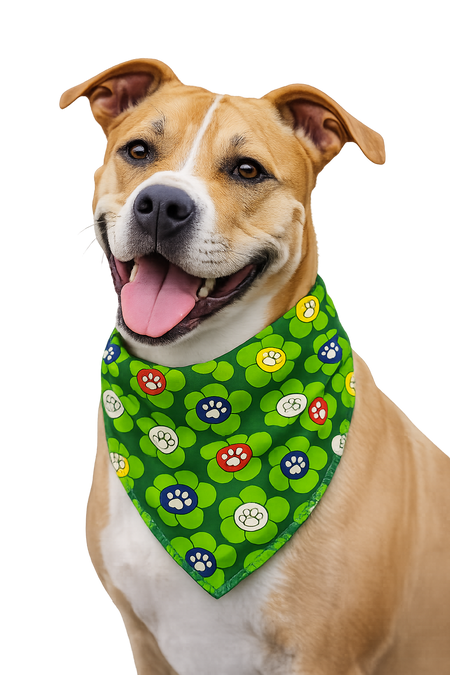 S3179 Flowers Paws Bandana Green