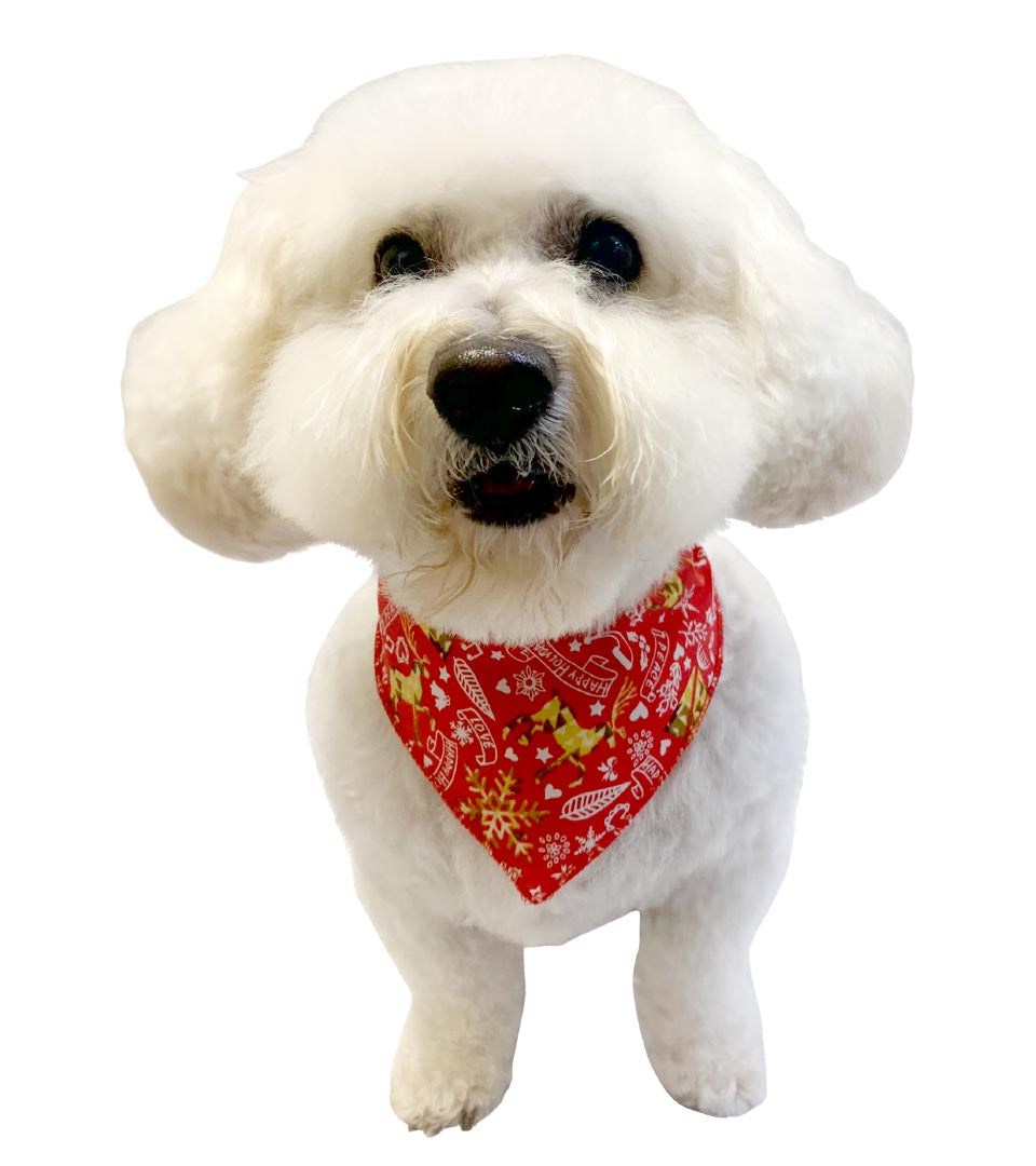 S3180 Christmas Bandana