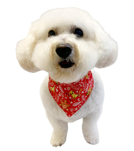 S3180 Christmas Bandana