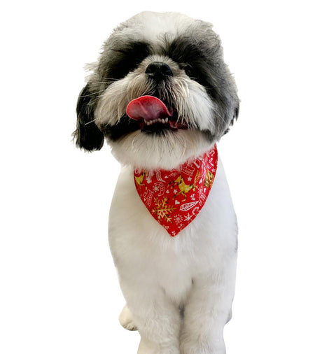 S3180 Holiday Bandana