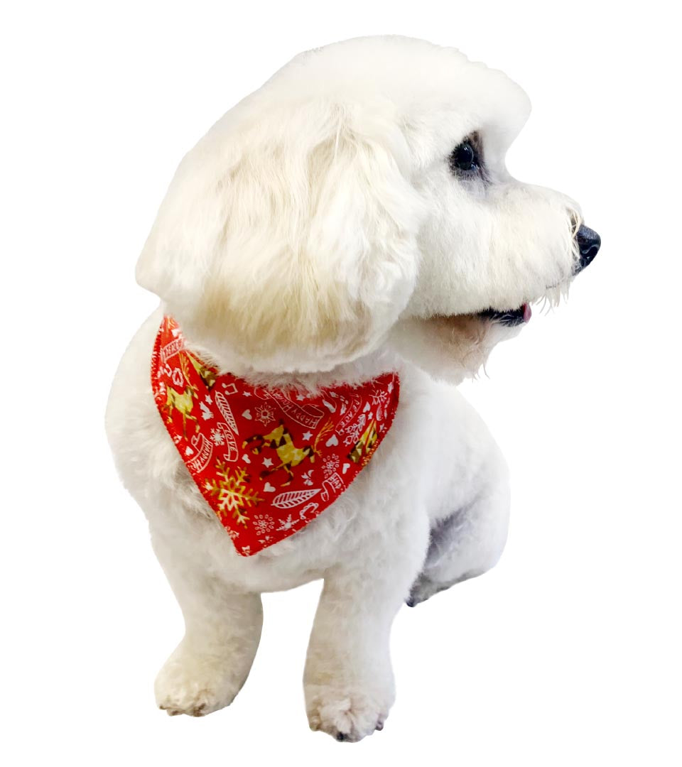 S3180 Christmas Bandana