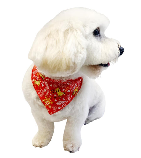 S3180 Christmas Bandana