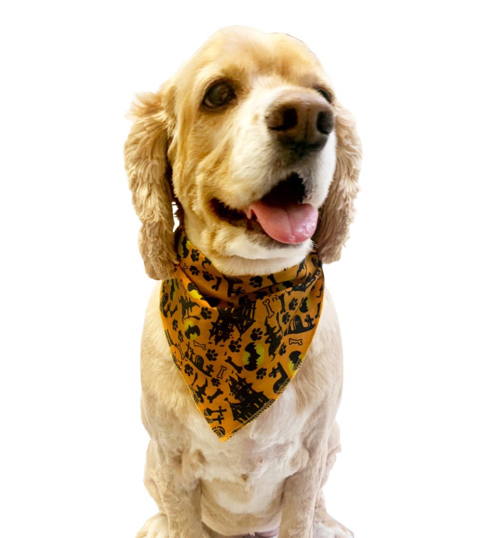 S3181 Halloween Doggie Bandana