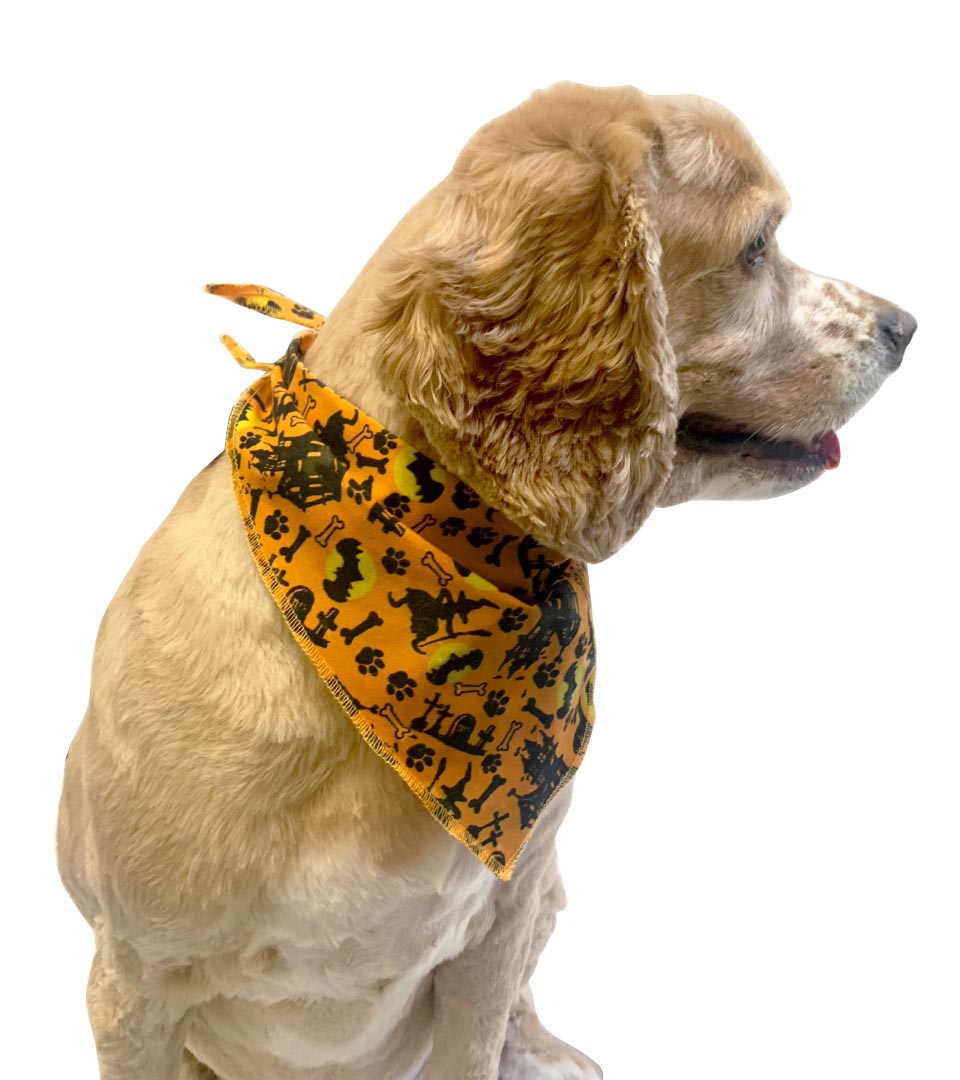 S3181 Halloween Doggie Bandana