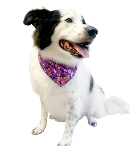 SPKS12 Bandanas Variety Pack Per Size - 12 assorted HALLOWEEN bandanas  