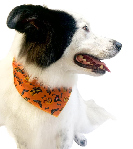S3188 Halloween Bandana, Orange