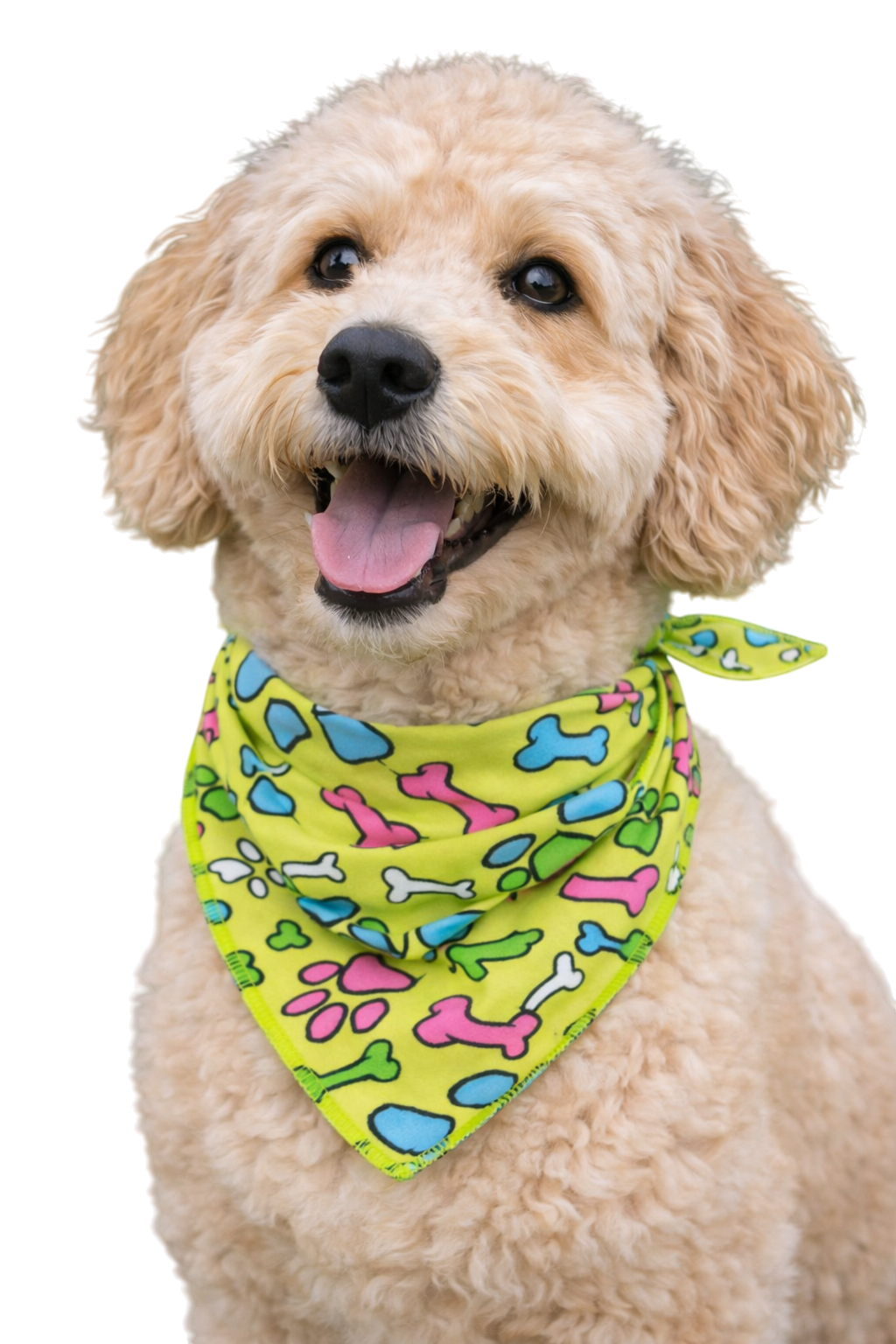 S3019 Paws & Bones Bandana, Green