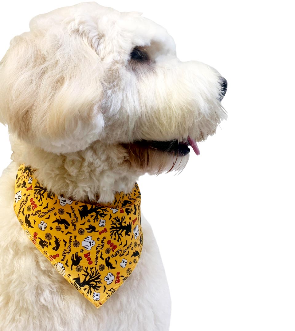 S3190  Halloween Bandana