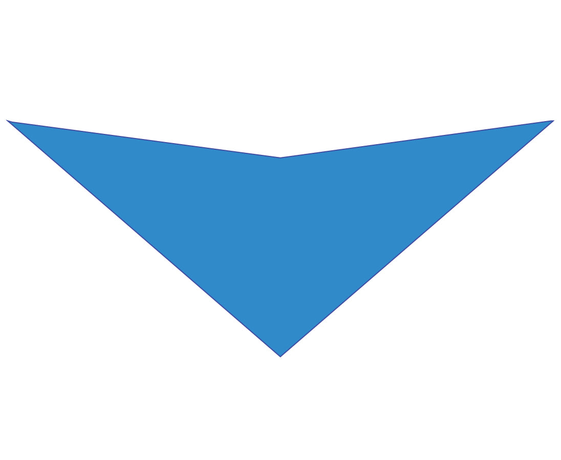 S3196 Carolina Blue Bandana