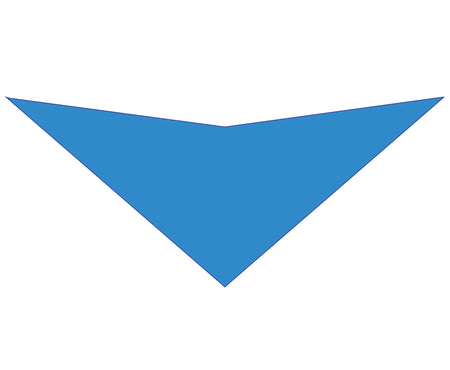 S3196 Carolina Blue Bandana