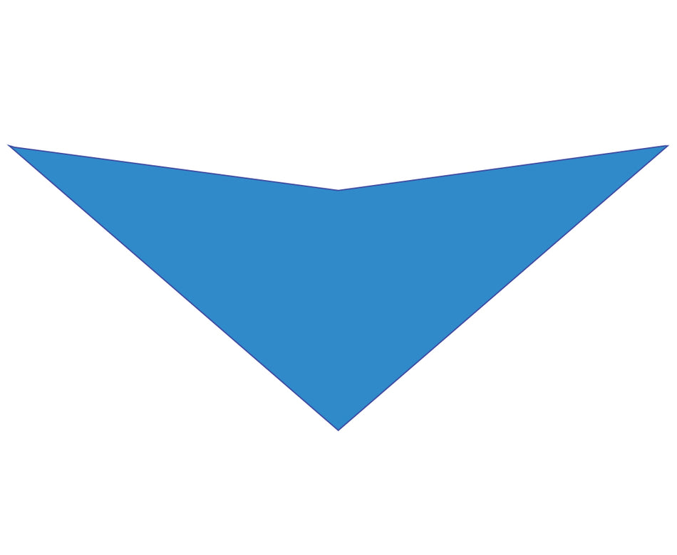 S3196 Carolina Blue Bandana